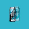 BrewDog Double Punk 440ml Can Imagery 1